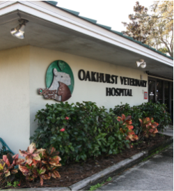 About Our Hospital | Oakhurst Veterinary Hospital